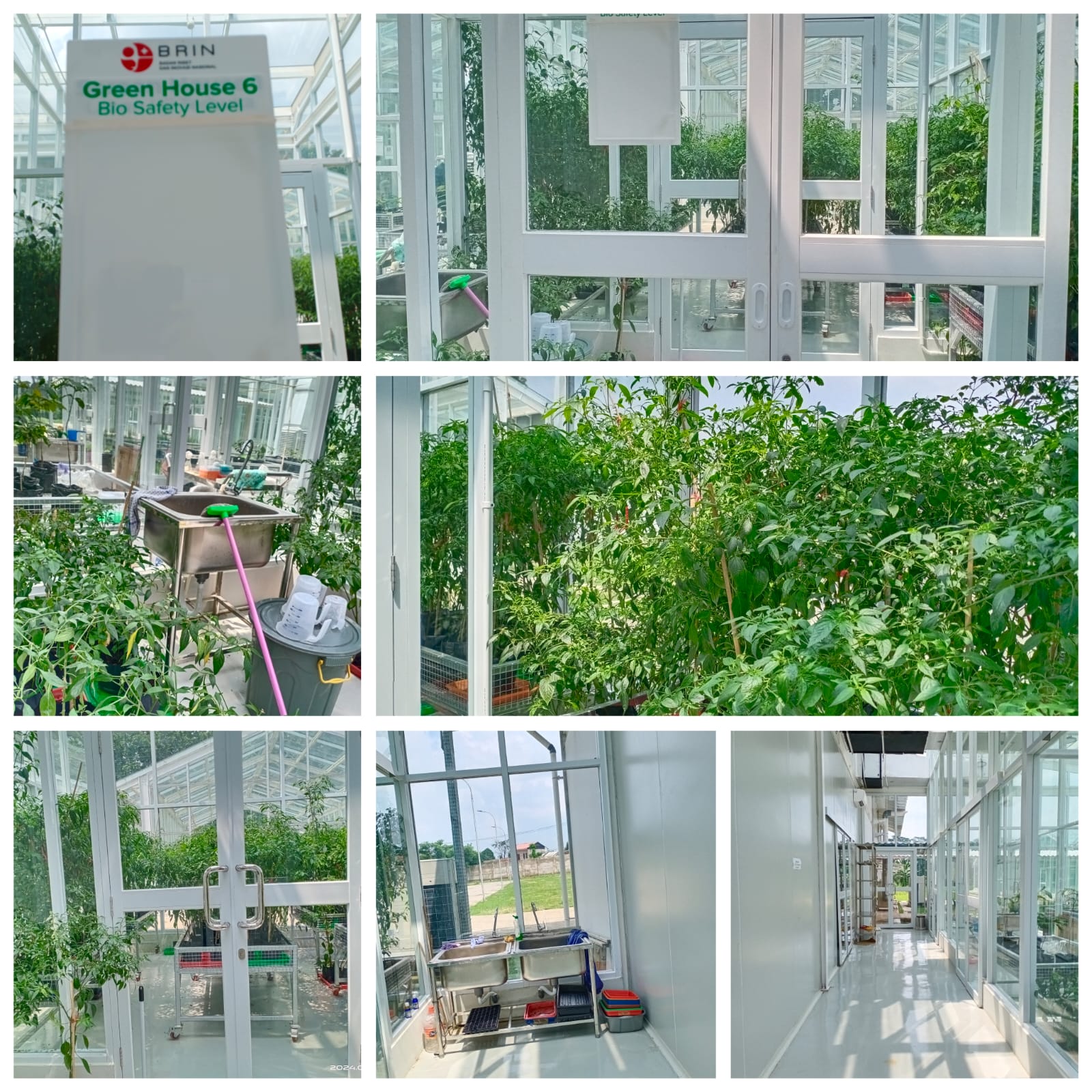 Rumah Kaca dan Lahan Uji