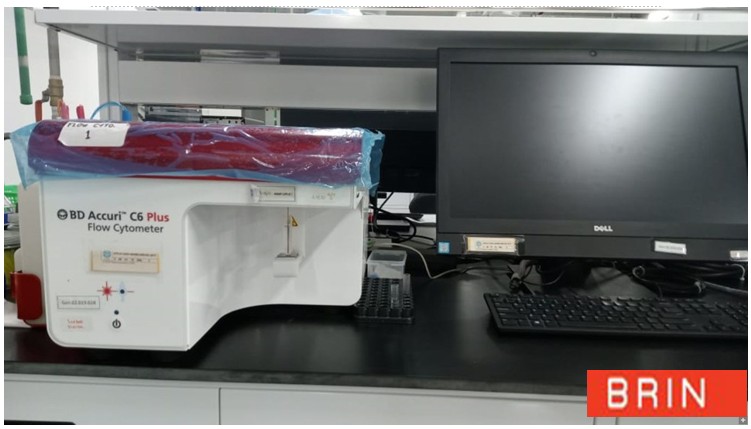 Identifikasi Flowcytometry Sel Tanaman (Termasuk Kit CyStain PI Absolut P) - Gedung Genomik