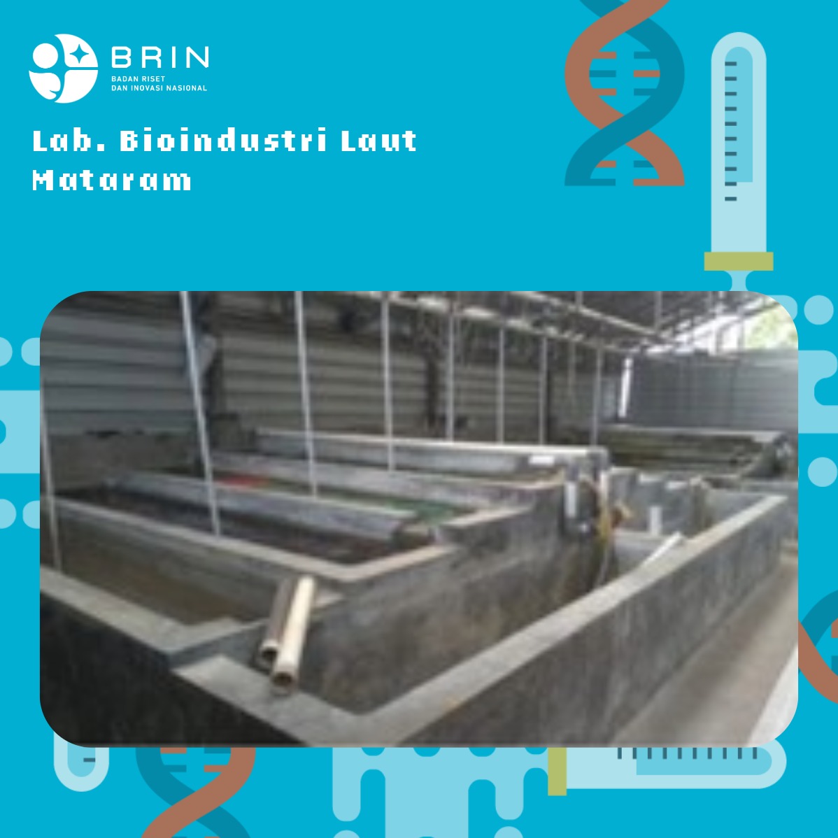 Fasilitas Bak Beton untuk Riset Budidaya Laut