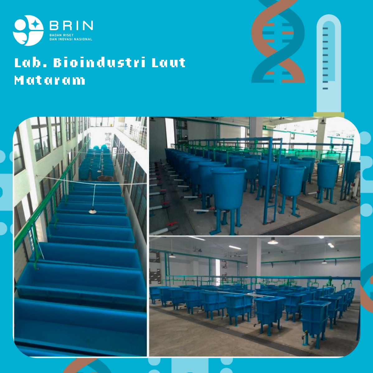 Bak Fiber Untuk Riset Budidaya Laut di Lab. Bioindustri Laut Mataram
