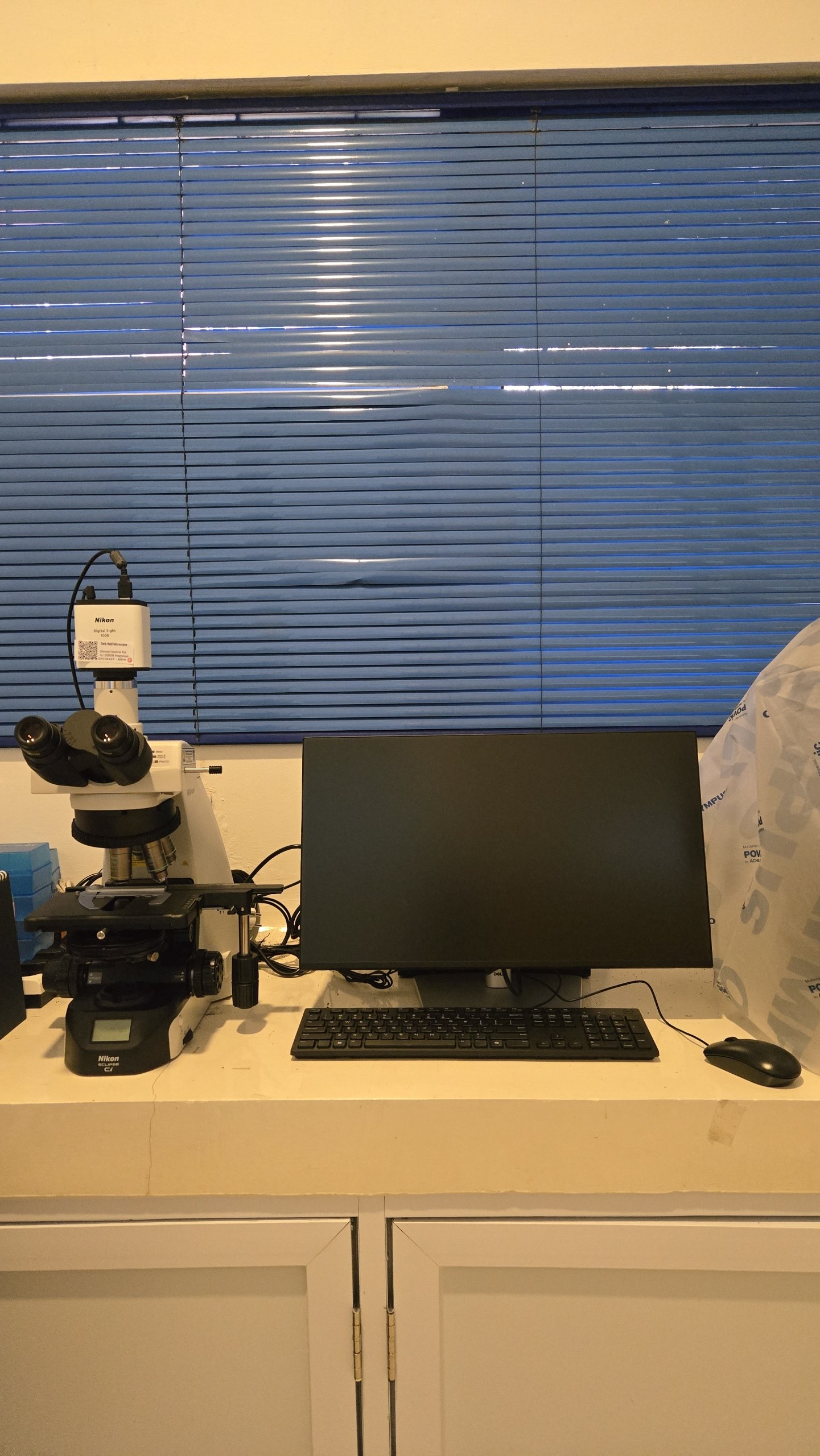 Microscopic Characterization Testing Service Using the Nikon Eclipse Ci-L Trinocular Microscope 
