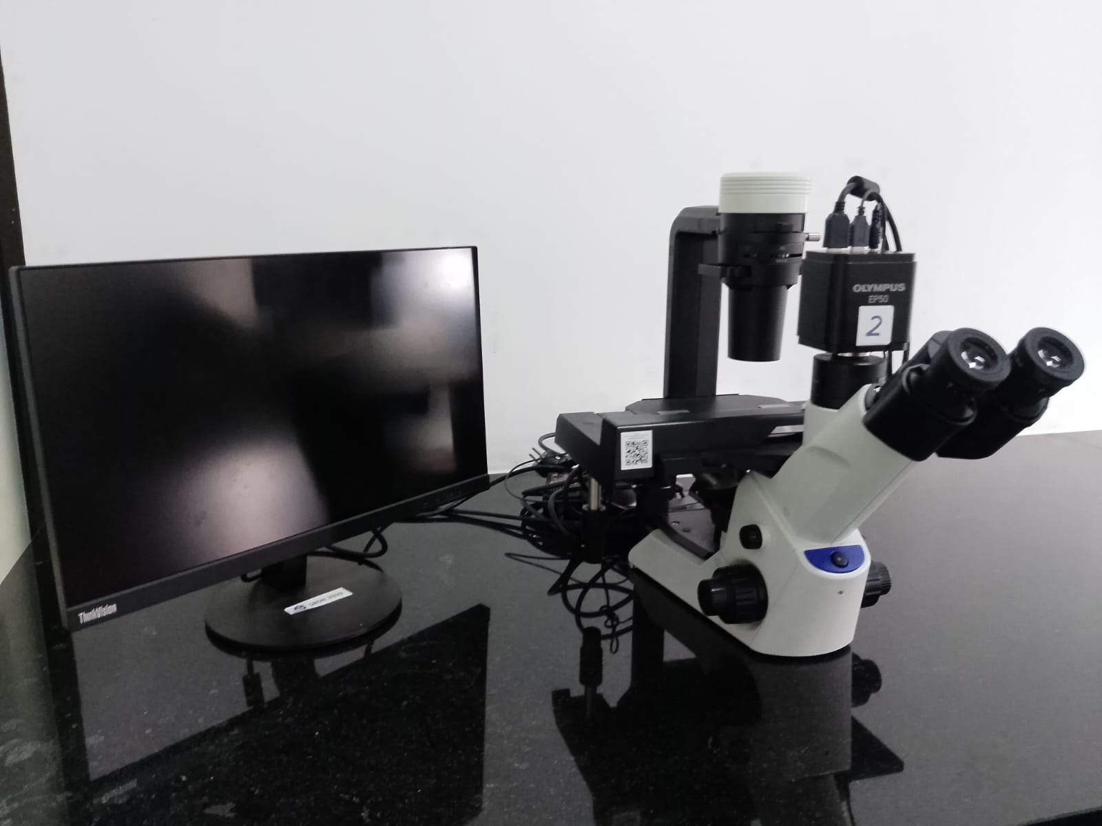 Inverted Mikroskop Olympus CKX53