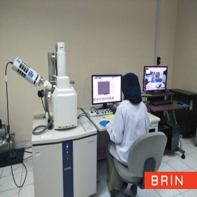 JASA ANALISIS - Scanning Electron Microscope (SEM)