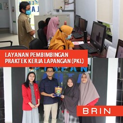 Pembimbingan PKL Mahasiswa D3 atau S1 Bidang Penginderaan Jauh dan Sains Informasi Geografis - Parepare