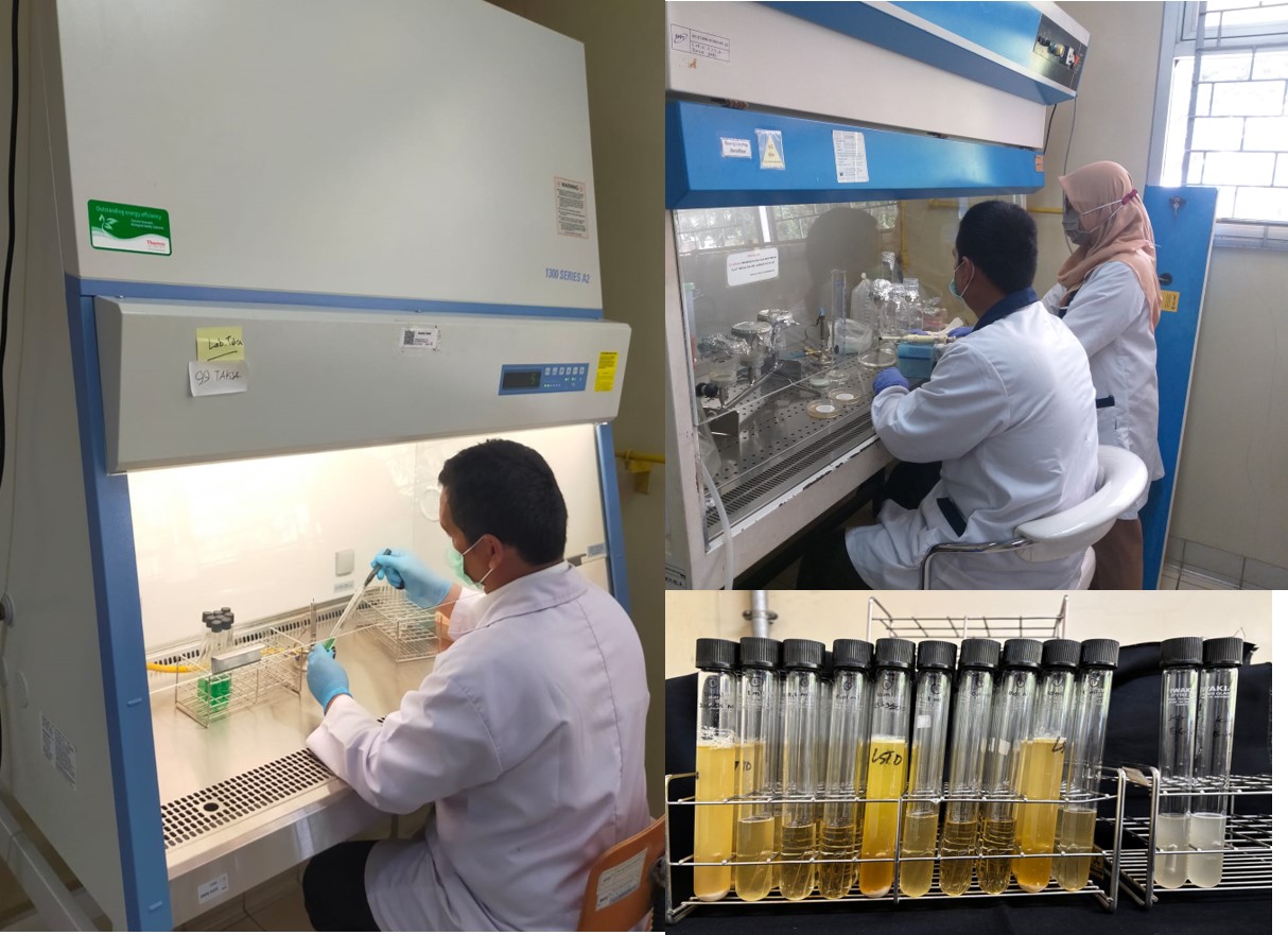 Coliform (Food Products/solid form) 