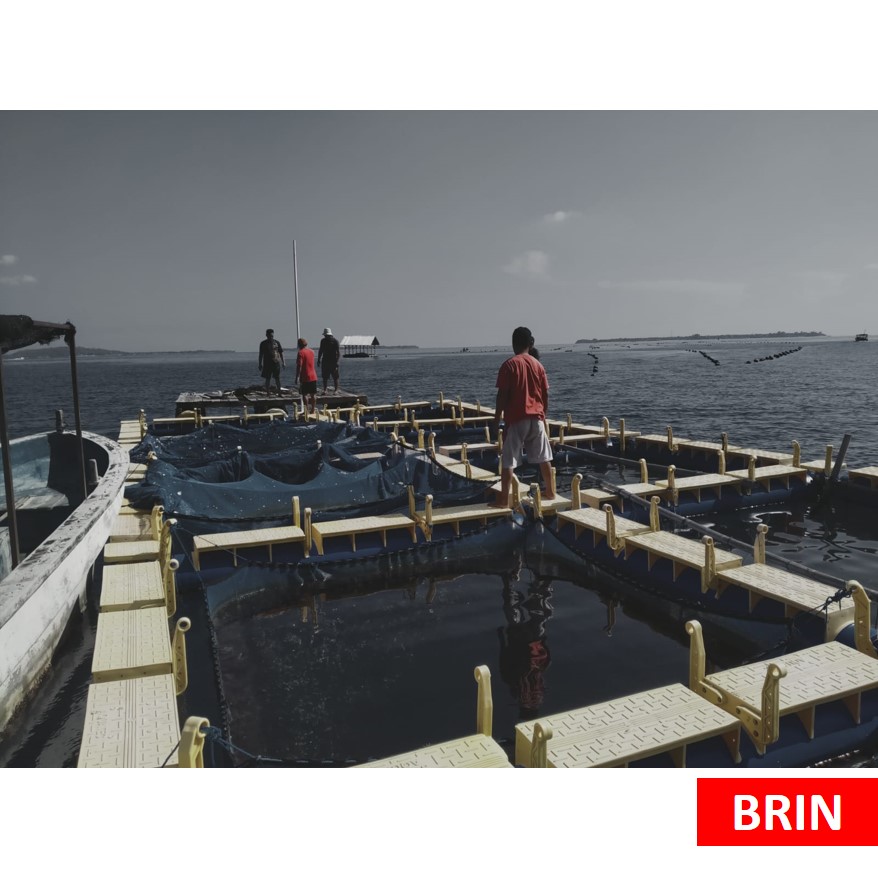 Keramba Jaring Apung HDPE untuk Riset Budidaya Biota Laut Lab. Bioindustri Laut Lombok