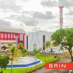 Konsultasi Praktikum Fisika Inti/Reaktor/Modern dengan IRL Kartini