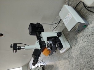 Mikroskop Fluorescence