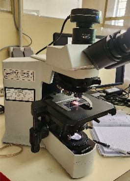 Penggunaan Mikroskop trinokular
