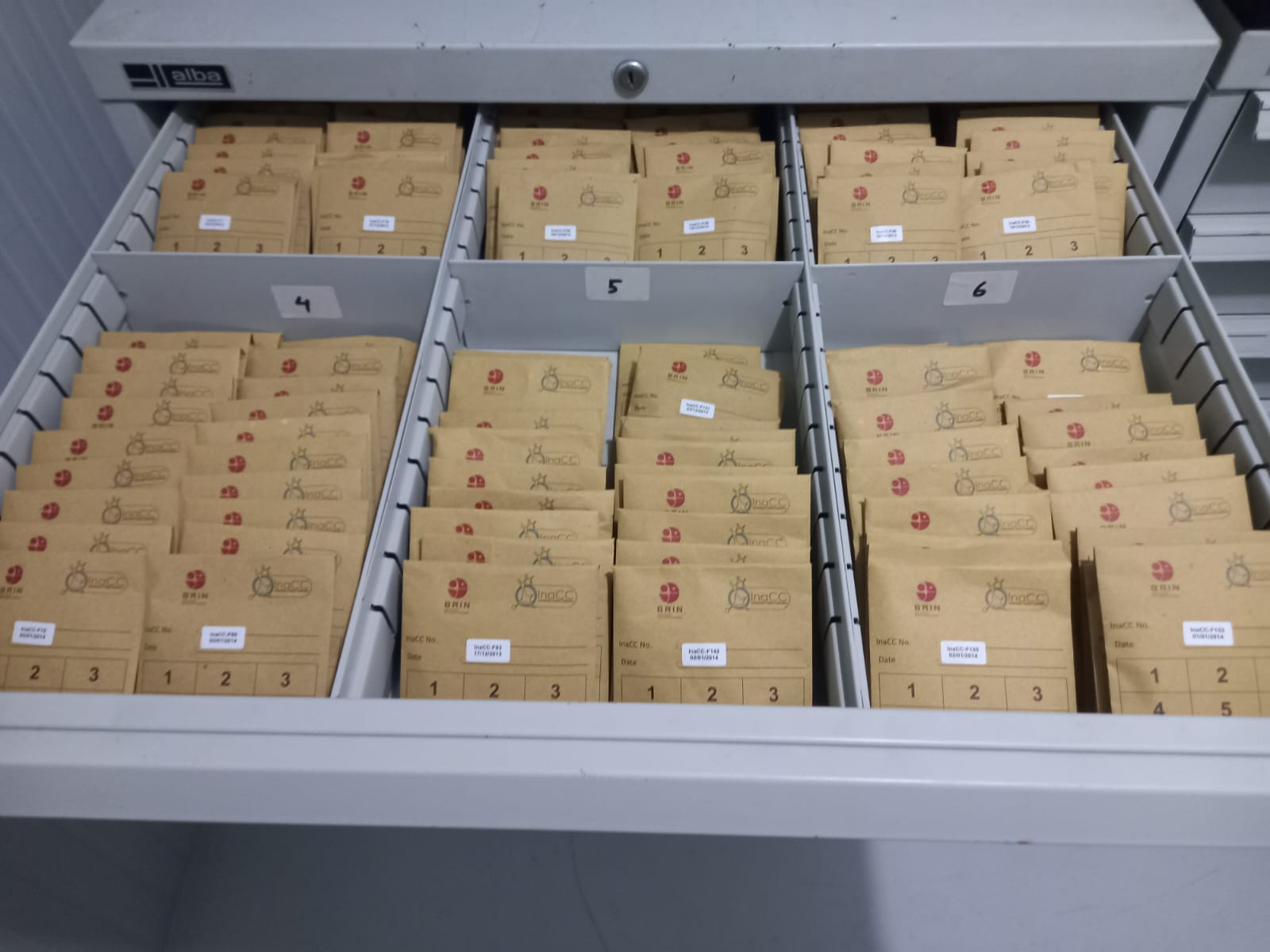 Deposit mikroorganisme