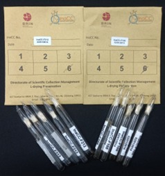 Deposit mikroorganisme