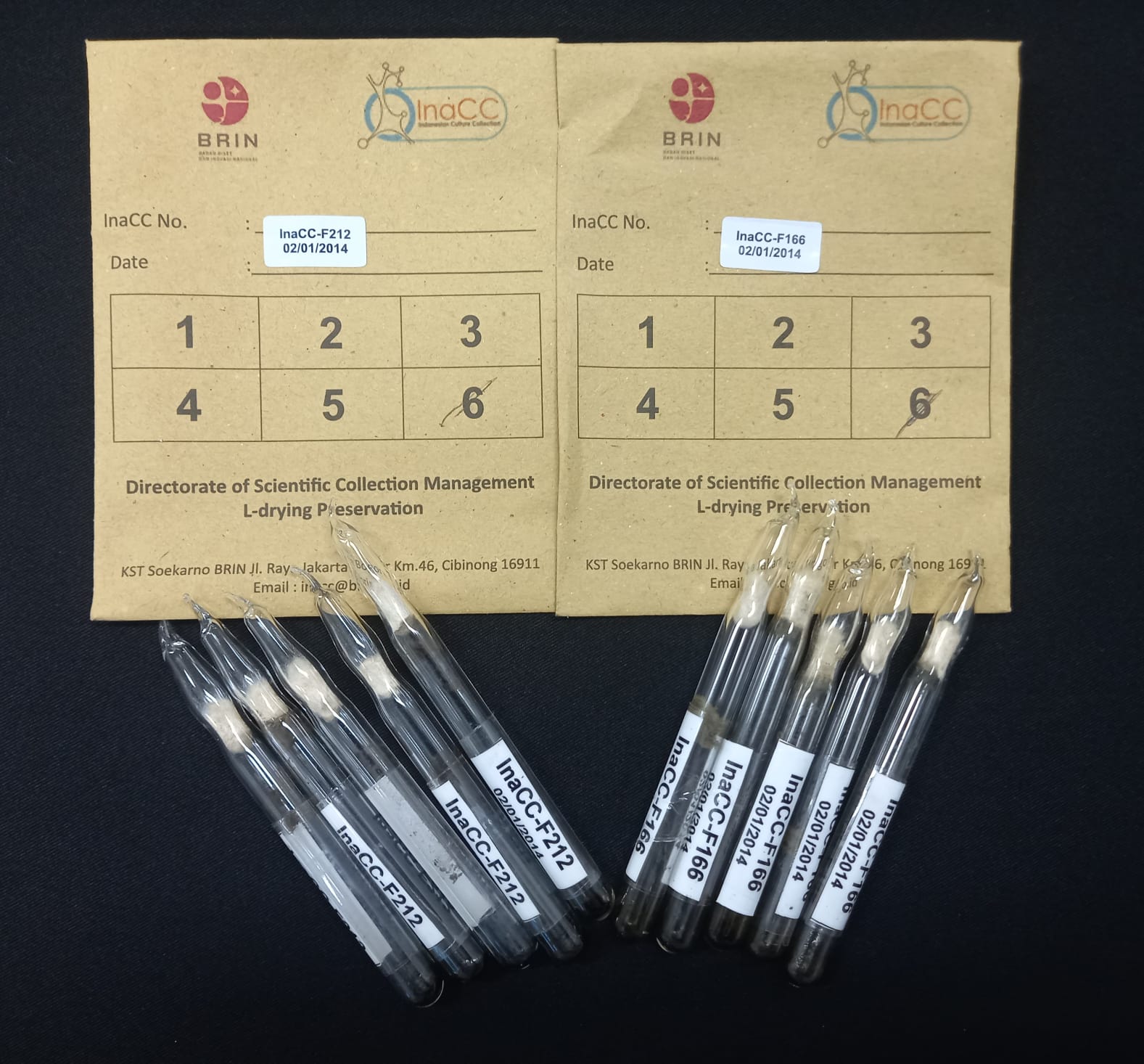 Deposit mikroorganisme