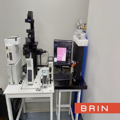 Motorized Fluorescence Inverted Microscope for Live Cell Imaging  (Olympus IX83) - Genomik