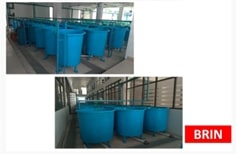 tank for sea water aquaculture 