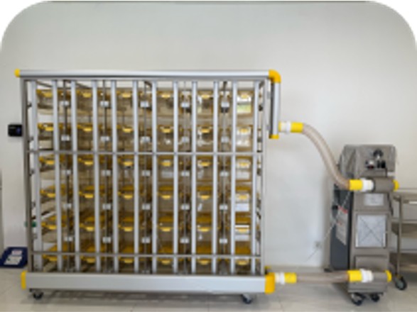 Kandang IVC ( Individually Ventilated Cages) BSL3