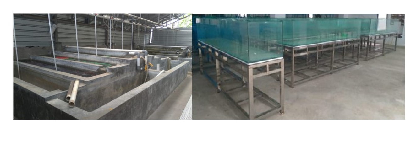 Aquaculture Tank and Aquarium for Research