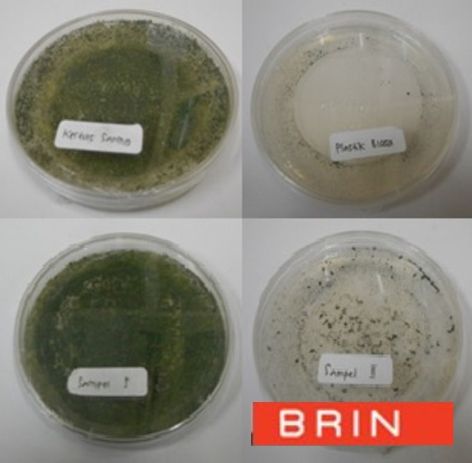 Jasa pengujian biodegradasi plastik berdasarkan ketahanan terhadap kapang