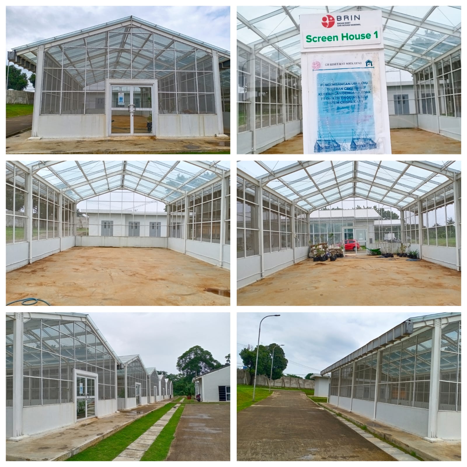Greenhouse Riset - Screenhouse