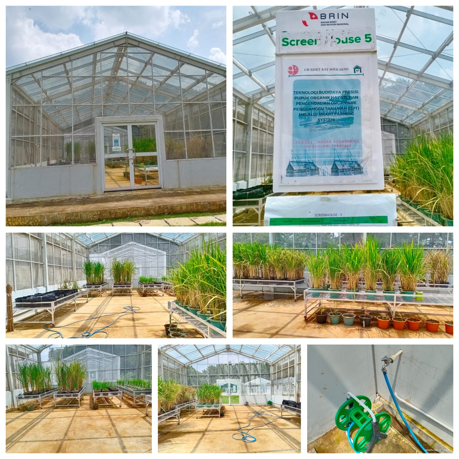 Greenhouse Riset - Screenhouse