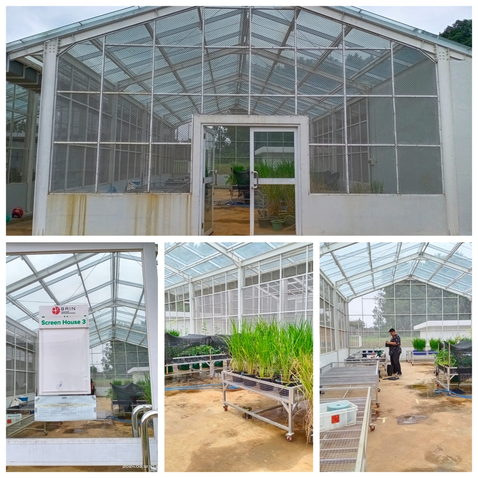 Greenhouse Riset