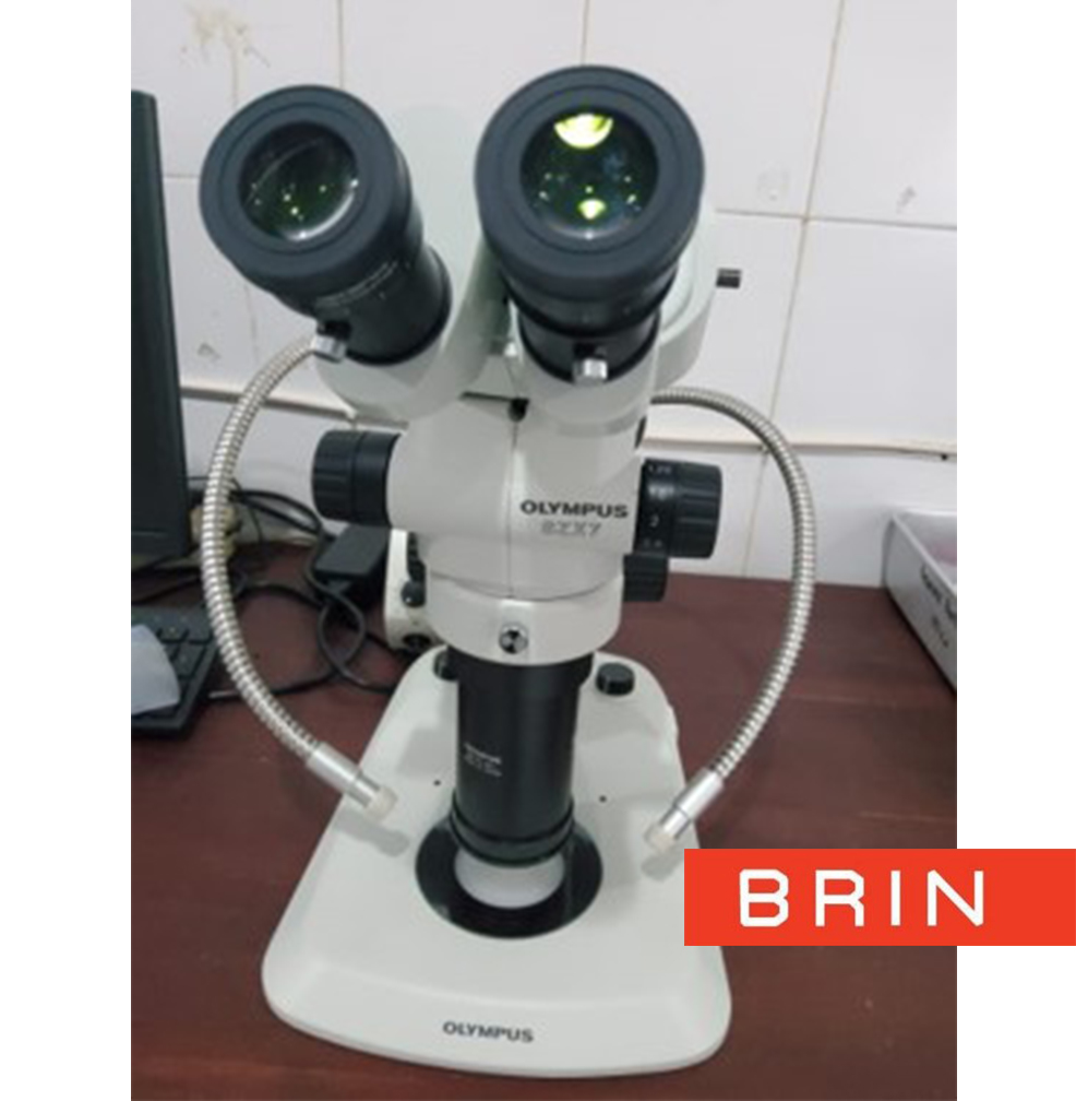 Penggunaan Mikroskop BX53M