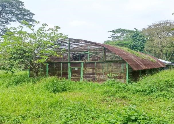 GREENHOUSE 01