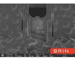 Cryo-FIB - Lamella Milling  (Aquilos 2). Cryo-EM Laboratory