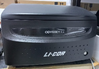 Penggunaan Odyssey LI-COR Imaging System