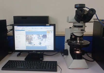 Penggunaan mikroskop polarisasi