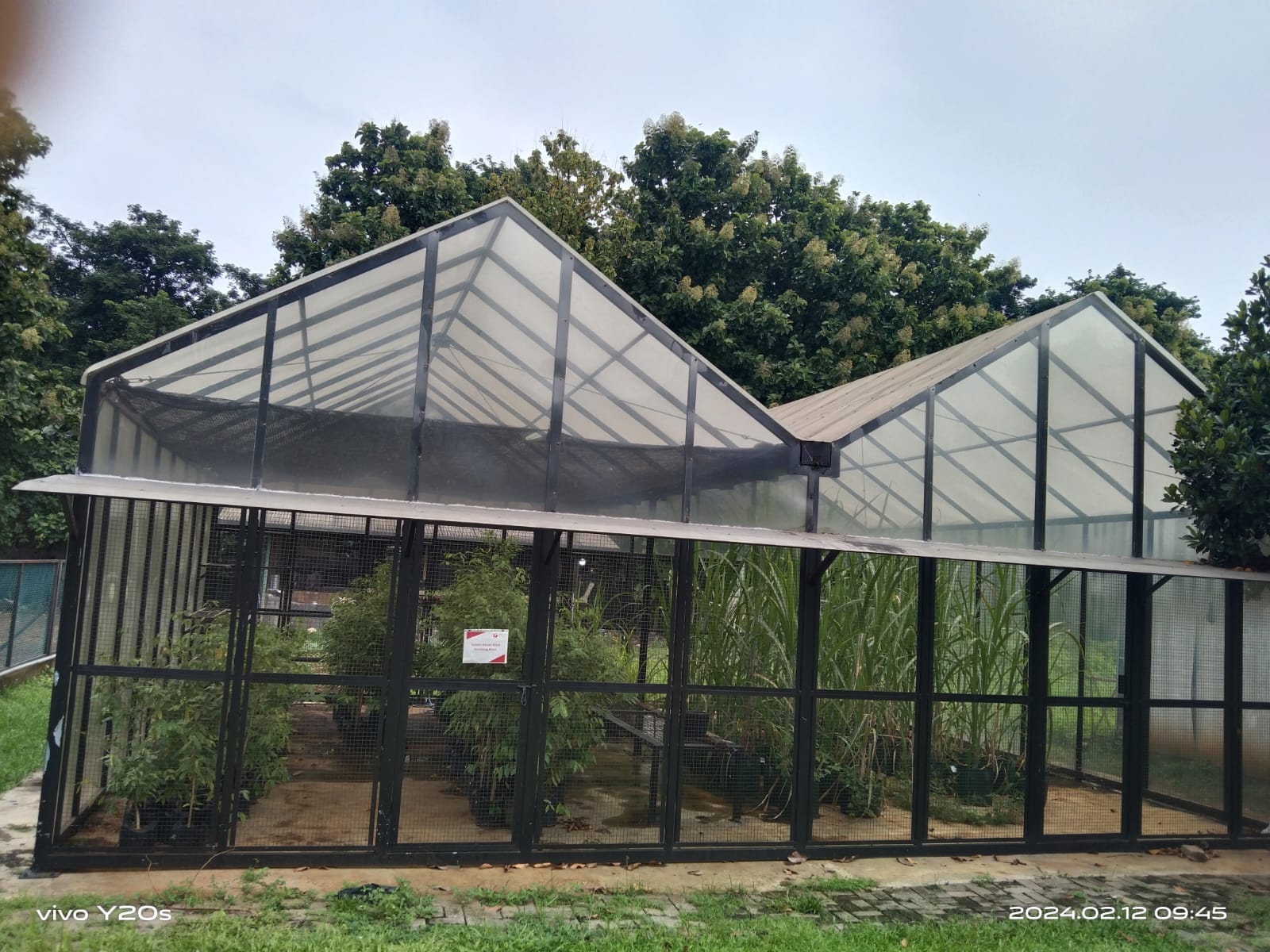 Greenhouse Riset Kandang Rusa
