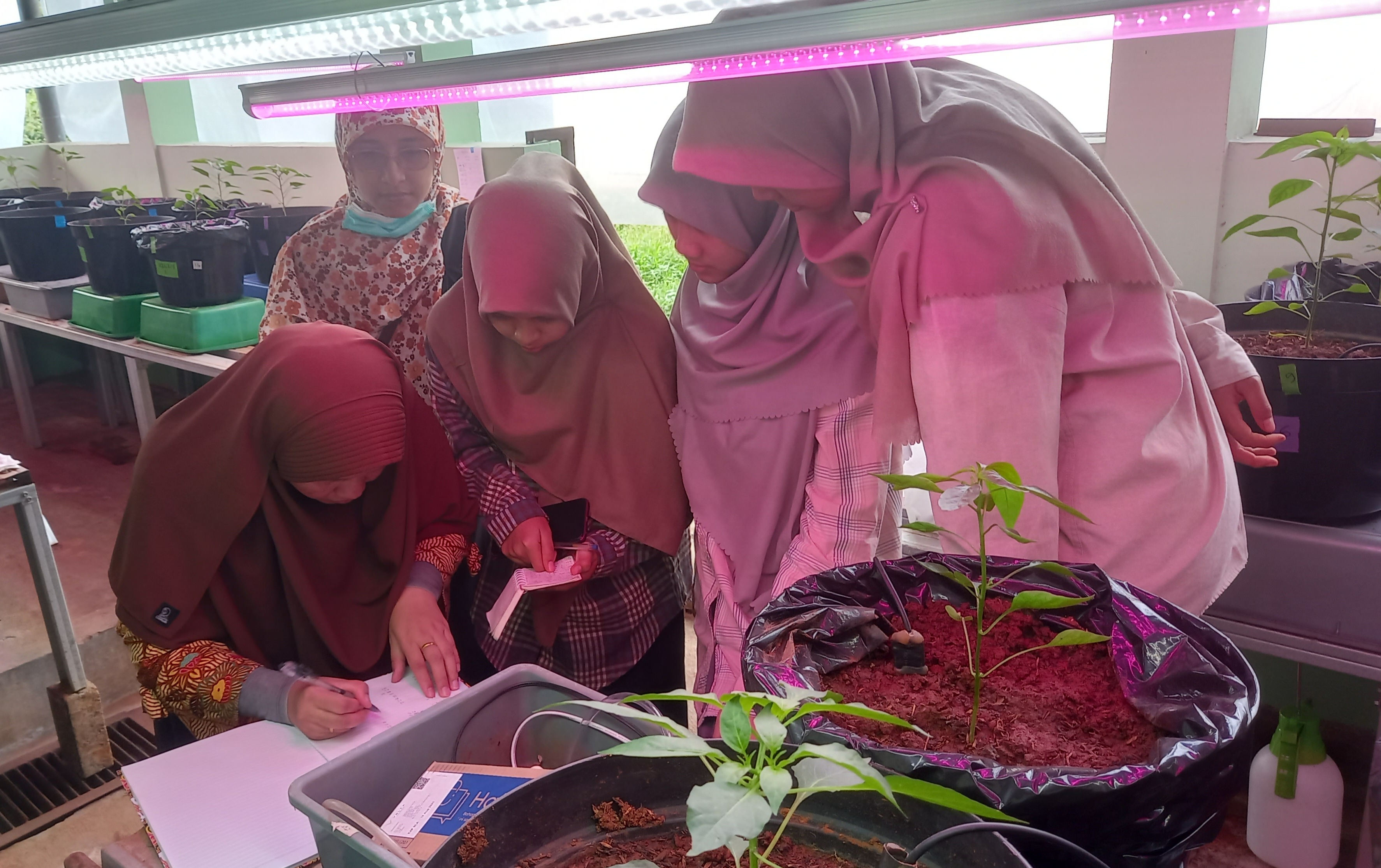 Riset-Teknologi Budidaya Cerdas untuk Hortikultura-KST BJ Habibie Serpong