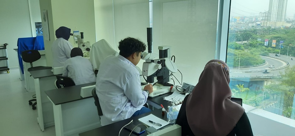 Assessment of fish larvae abundance in Belitung Island