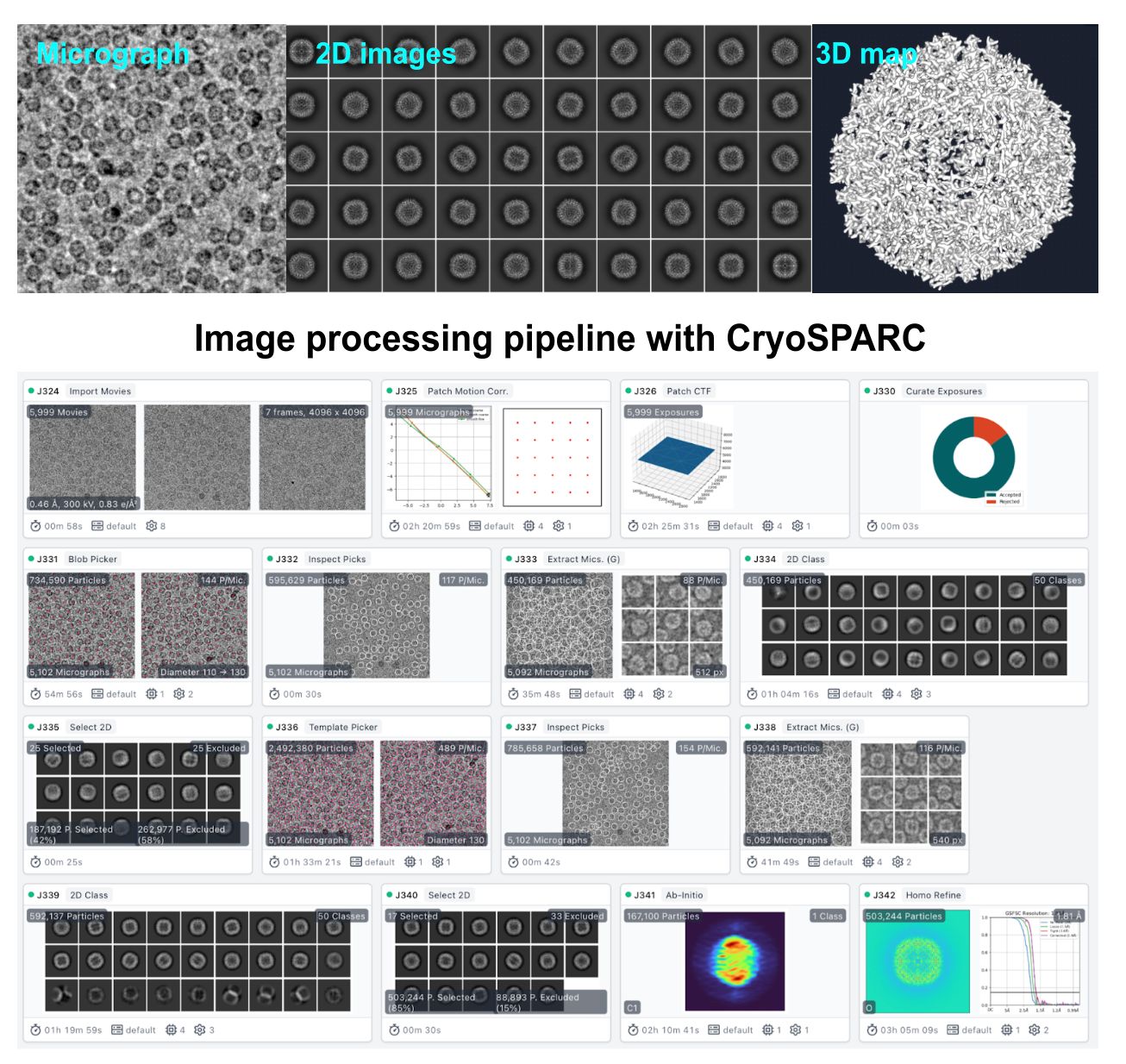 Bimbingan Teknis dan Pembuatan Akun Single Particle Reconstruction