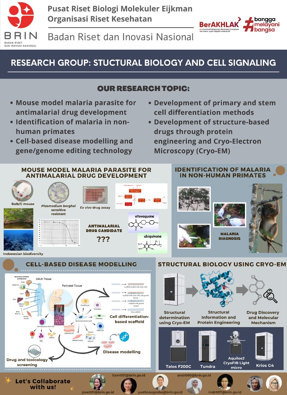 Research - Structural Biology and Cell Signaling 