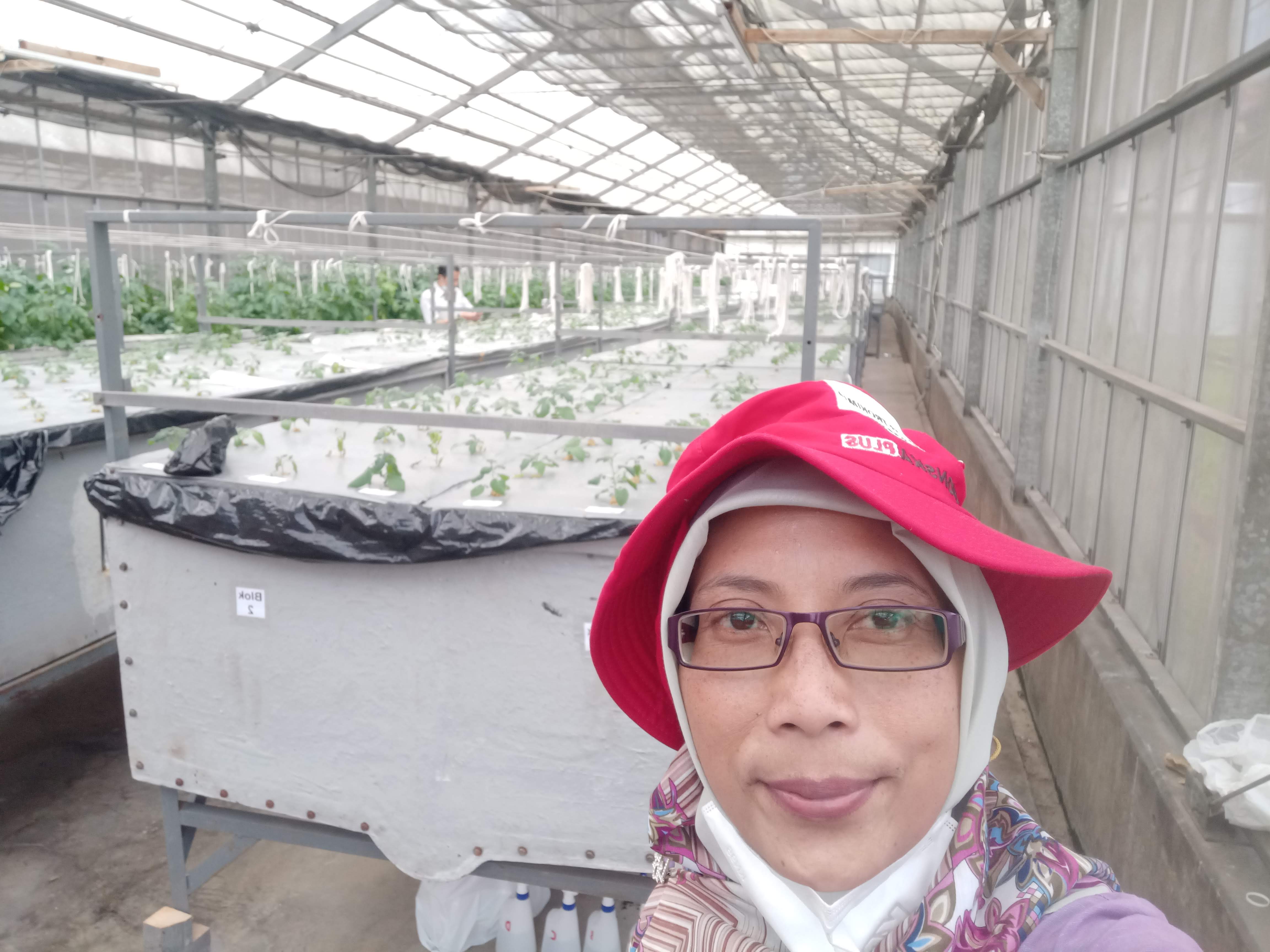 Riset-Teknologi Perbenihan Bermutu Hortikultura Secara In Vivo-Bandung
