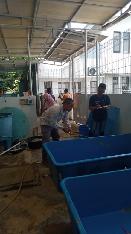 Penggunaan kolam ikan outdoor