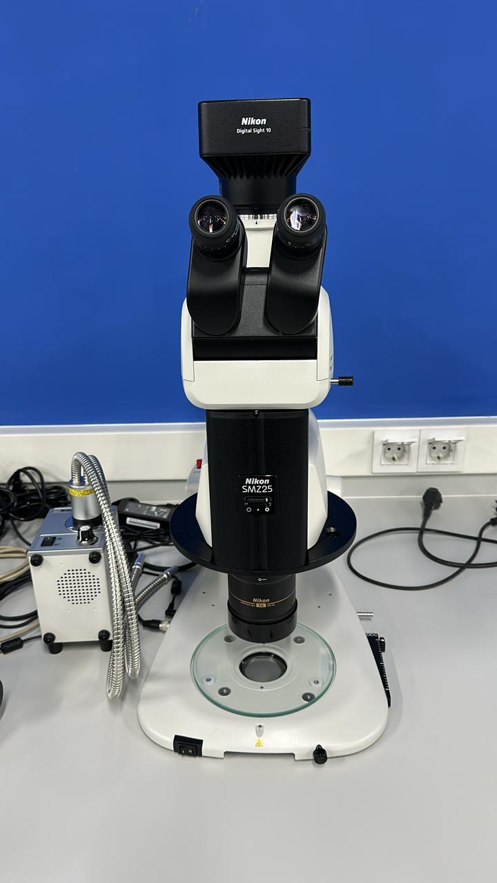 stereo microskop
