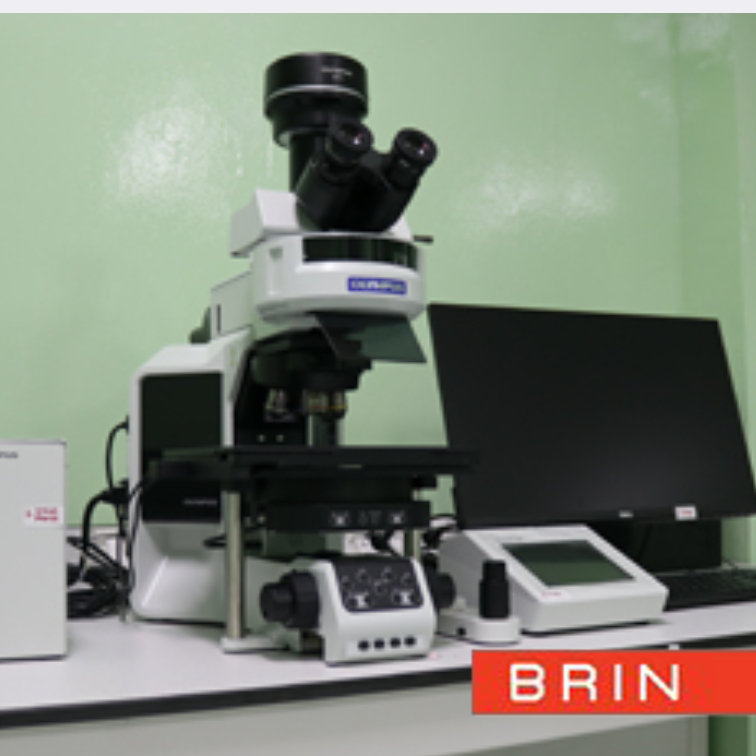 Analisis Mikroskopik dengan Bright Field (BF) Mode ILAB Cibinong