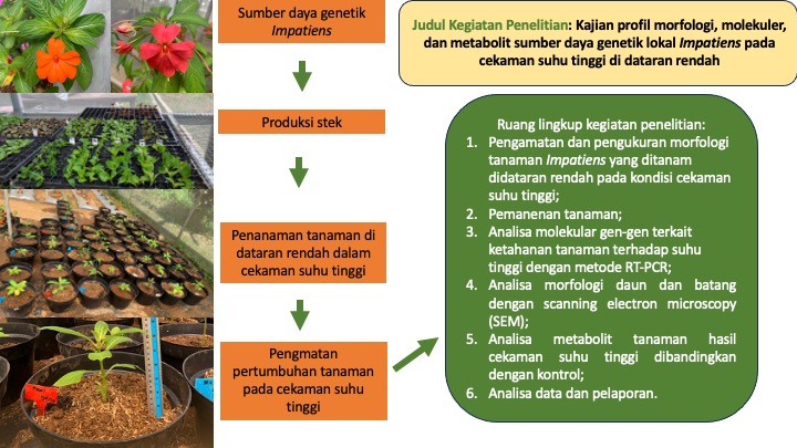 Riset-Karakterisasi dan Evaluasi SDG Hortikultura-Purwodadi dan Cibodas