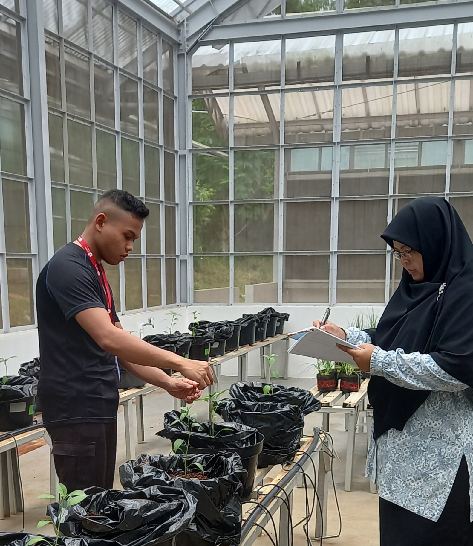 Layanan Tugas Akhir Mahasiswa S1 Pusat Riset Hortikultura