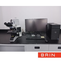 Automatic Karyotyping - Gedung Genomik