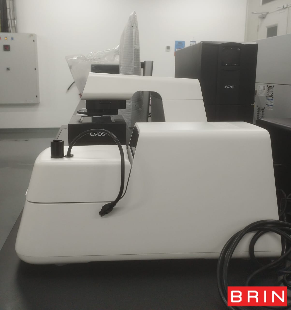 Live Imaging with Fluorescence Microscope EVOS M7000 - Genomic