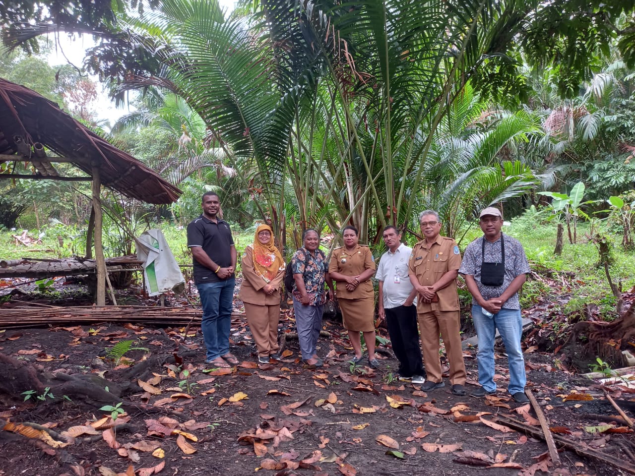 Riset - Penetapan Rumpun Induk Terpilih (RIT) VUB Sagu Yebha dan Dowbeta di Kabupaten Jayapura - Jayapura