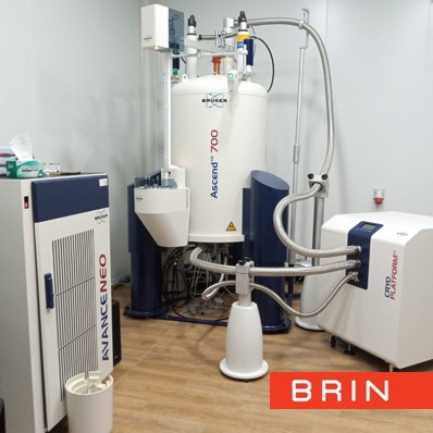 Karakterisasi Lanjut Analisa NMR BRUKER ASCEND 700MHz