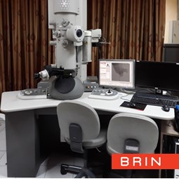 JASA ANALISIS Transmission Electron Microscopy (TEM)