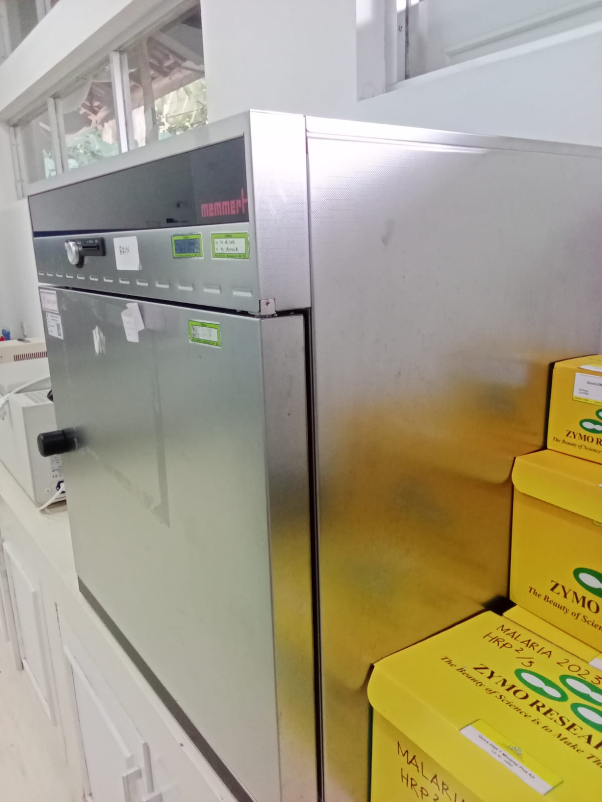 Microorganism Incubation Process
