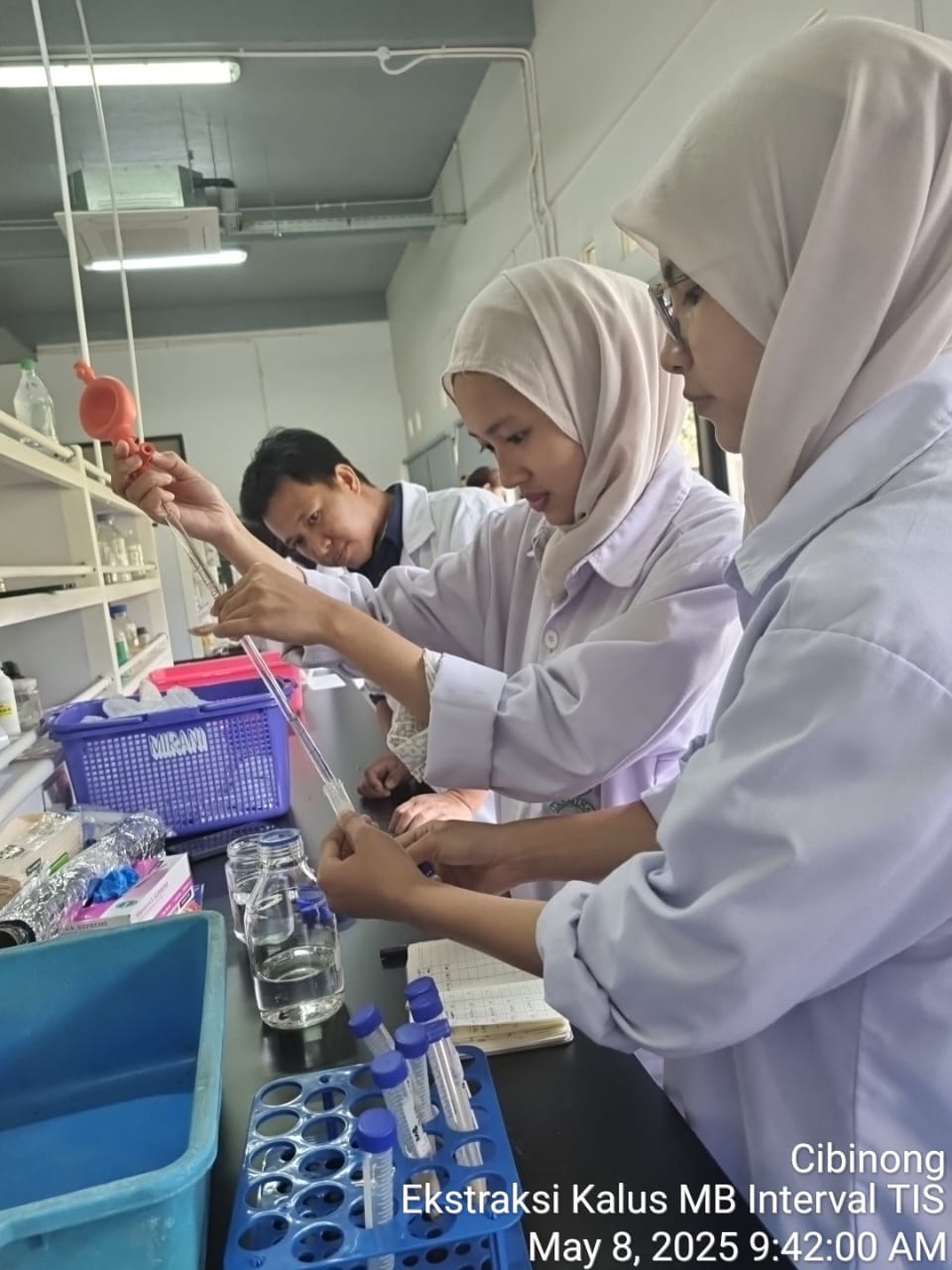 Riset-Teknologi Perbenihan Bermutu Hortikultura Secara In Vitro-KST Soekarno Cibinong