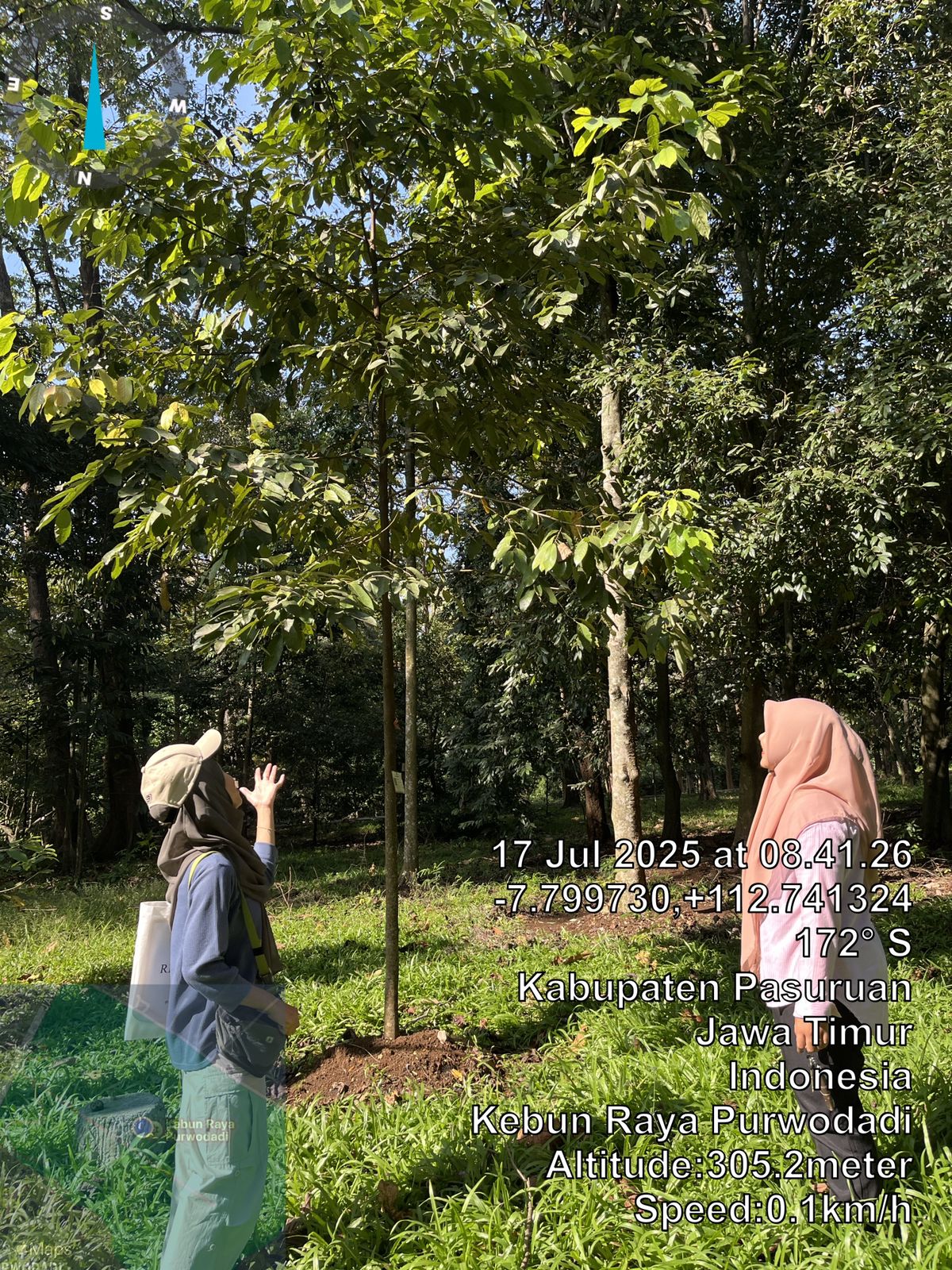 Magang Biasa Siswa/Mahasiswa di Koleksi Koleksi Tumbuhan Hidup di KKI Kebun Raya Purwodadi Direktorat Pengelolaan Koleksi Ilmiah