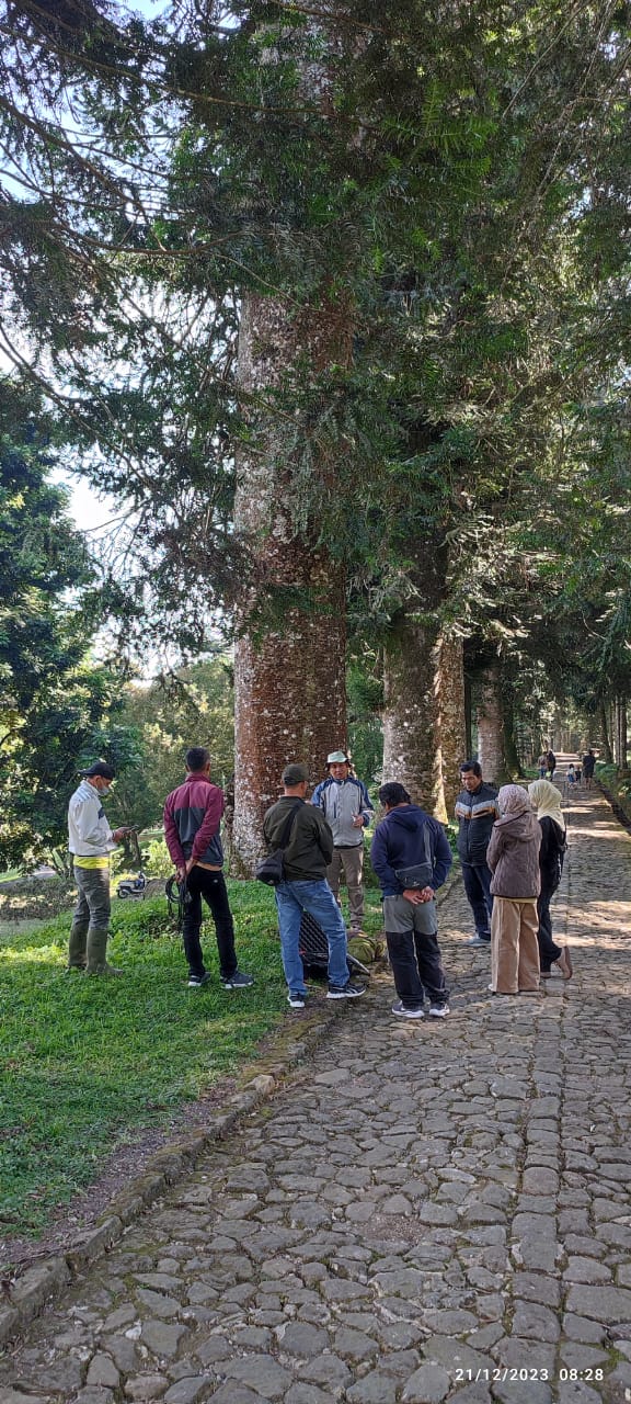 Magang Biasa Siswa/Mahasiswa di Koleksi Koleksi Tumbuhan Hidup di KKI Kebun Raya Cibodas Direktorat Pengelolaan Koleksi Ilmiah