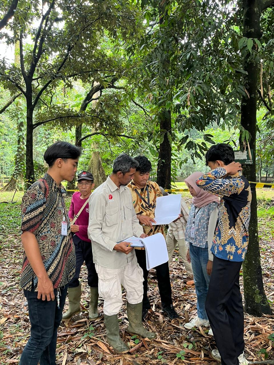 Magang Biasa Siswa/Mahasiswa di Koleksi Koleksi Tumbuhan Hidup di KKI Kebun Raya Bogor Direktorat Pengelolaan Koleksi Ilmiah